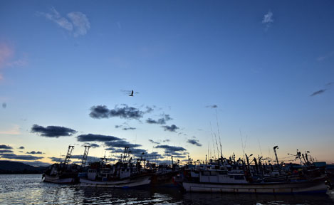 daemyeong port photo4